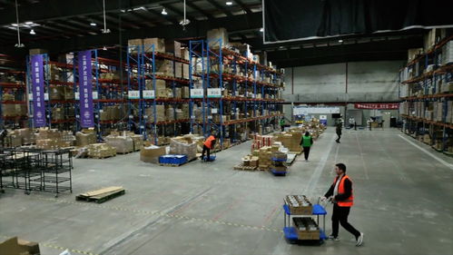 強信心 開新局 跨境電商加速跑，直擊上海港進出口商品中轉倉的技術進出口新篇