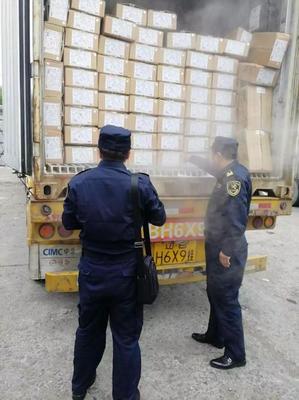 中國對俄出口冷凍雞胸肉經綏芬河口岸首發，區域經貿合作邁上新臺階