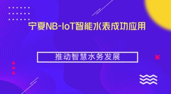 寧夏NB-IoT智能水表成功應(yīng)用，推動(dòng)智慧水務(wù)與智能水務(wù)系統(tǒng)開發(fā)